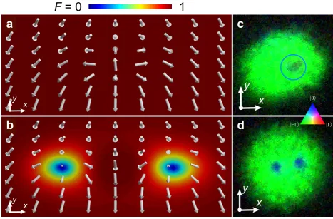 Figure 4 | Theoretical spin textures and corresponding experimental data. (a) The
