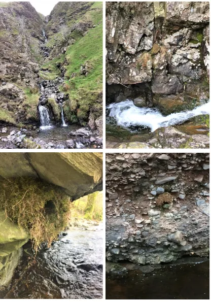 Figure 1.5. Dipper nests and locations. Clockwise from top left: upland locations, in the vegetation between the two lower waterfalls and on the rock wall of a gulley; lowland locations, on a conglomerate cliff and beneath a packhorse bridge