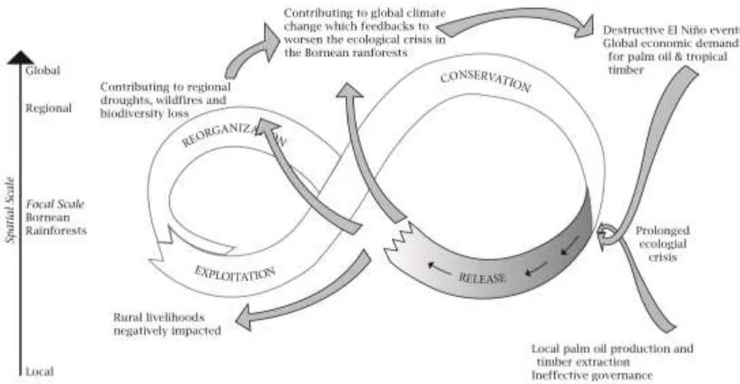 Figure 1. Cross-Scale Resilience and Vulnerability in the Bornean Rainforests. 