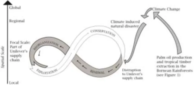 Figure 2.  Cross-Scale Climate Change Related Feedbacks in Unilever’s Supply Chain. 