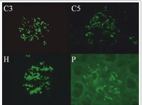 Figure 1 Glomerular deposition of C3, C5, fH and P were assessed by immunofluorescence technique