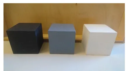 Figure 2. The black and white test blocks and the grey familiarisation block used 