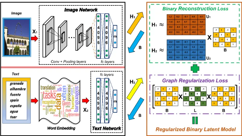 Fig. 1. The overview of our Self-Supervised Deep Multimodal Hashing. There are three subsections in the training process: deep feature learning(left), deep hash function learning (middle) and regularized binary latent representation learning (right)