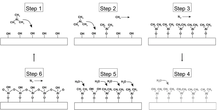 Figure 1.6 Atomic layer deposition: steps in the TMA/water process. 