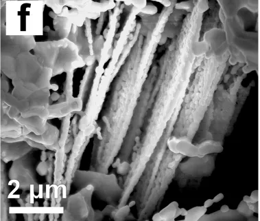 Figure 3.1f  