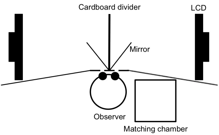 Figure 3: Bird’s-eye-view schematic of stereoscopic setup.  Two LCDs independently 