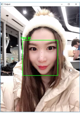 Figure 3.1: Facial Landmark Detection Example 1 sions, it also finds a position to place emojis which covers original expression.