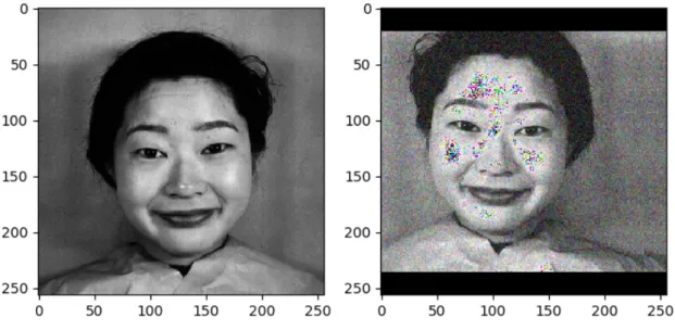 Figure 3.5: Data augmentation example