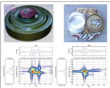 Fig. 3: Comparison of sensor data for an anti-personnel mine and a beverage can (Sun/Li 2005: 3)