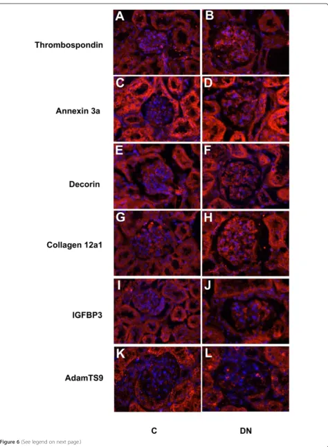 Figure 6 (See legend on next page.)