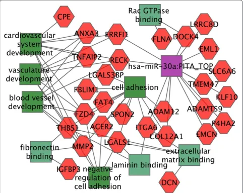Figure 5 Changing gene expression programs in mesangial cells of db/db diabetic nephropathy mice