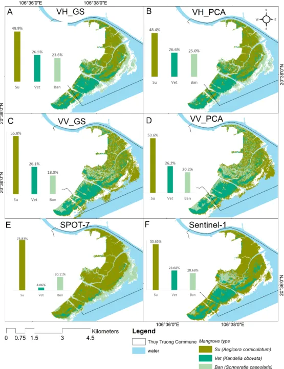 Figure 6. Maps of classified mangrove species; GS and PCA indicate Gram–Schmidt and principal  component analysis image fusion methods; V and H are vertical and horizontal, respectively and  coupled letters of VH and VV indicate SAR cross-polarizations