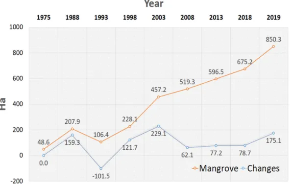 Figure 8. Total mangrove area (orange line) and changes in extent (blue line) (ha) from 1975–2019 in  Thuy Truong commune