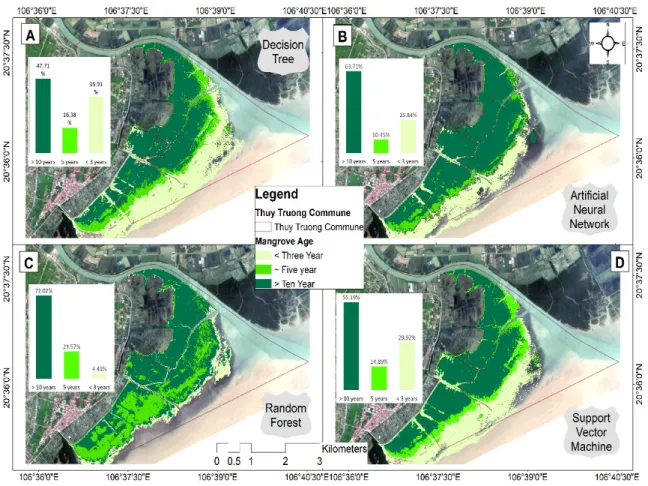 Figure 4. Maps of classifications using the multispectral data of SPOT-7 acquired on 17 May 2019 for  mangroves of ages older than 10 years, around five years, and younger than three years, mapped for  the four classifiers of decision tree (A), artificial 