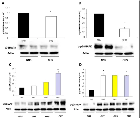 Figure 3 Comparison on protein expressions of p38MAPK (A) and p-p38MAPK (B) in hippocampus of rats with high fat diet-inducedobesity