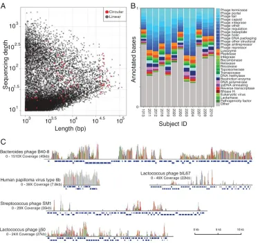 Figure 3-1. Assembly, functional assessment, and identification of viral sequences. (A) Summary of contigs assembled from viral sequences