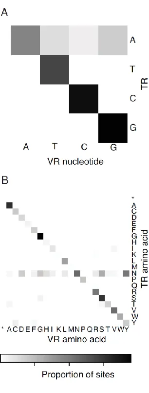 Figure 3-3. Characteristics of RT-associated hypervariation in the gut virome.  A) Heatmap showing the relationship of positions in the template repeat (TR) (y-axis) to the resulting nucleotides in the variable repeat (VR) (x-axis)
