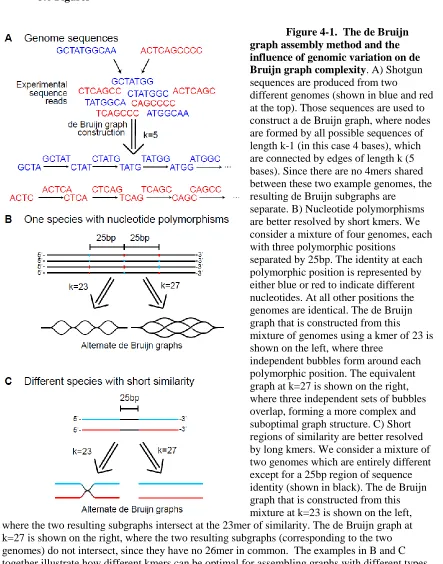 Figure 4-1.  The de Bruijn graph assembly method and the 