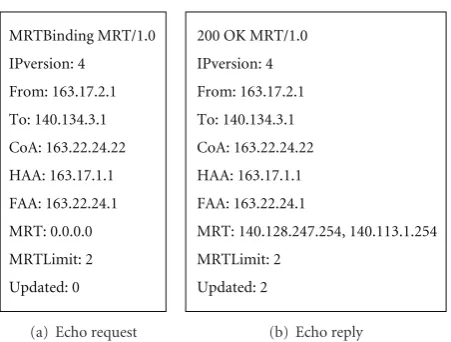 Figure 4: An example of payload of echo request/reply messages.