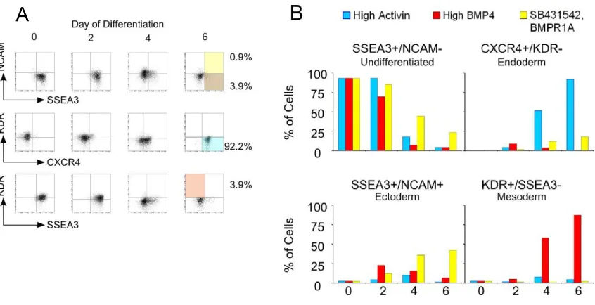 Figure 3.2.  Biomarker time-course analysis.  Germ layer differentiation was initiated at day 0