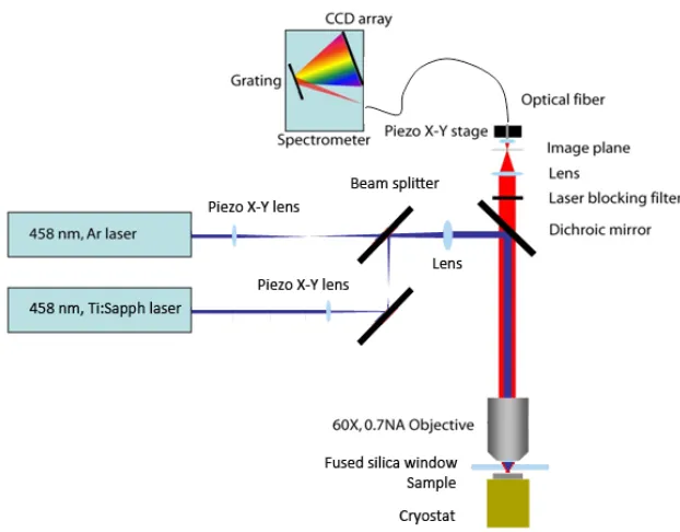 Figure 2.2: Micro-photoluminescence setup used in most optical measurements.  Argon ion and titanium:sapphire laser positions on the sample surface were computer controlled 