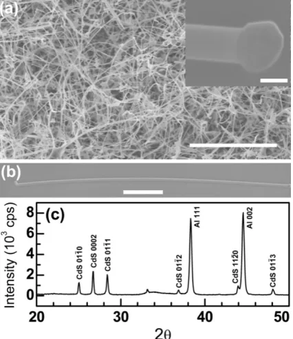 Figure 5.1: nm. Detail of a catalyst particle on the tip of the nanowire shown in panel b)