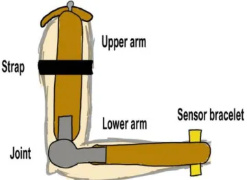 Figure 2.2 The important parts of the structure seen on a user’s arm 