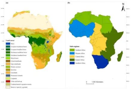 Figure 1: (a) Land cover map of Africa derived from the 500 m MODIS land cover type product 