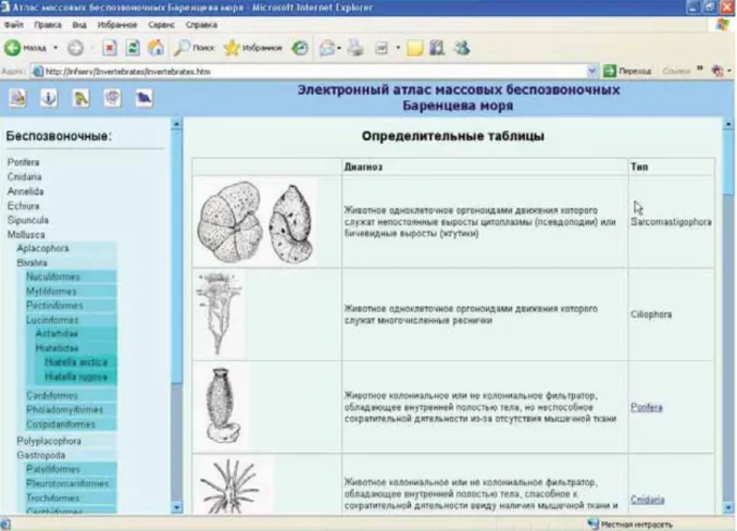 Figure 2.5. Example of key-table for identification of the type of animal. 