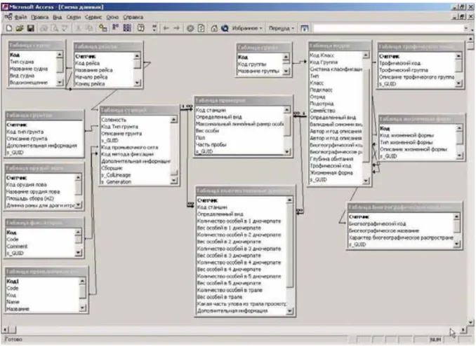 Figure 3.2. Chart of tables and links in the benthic database made in Microsoft Access 2002