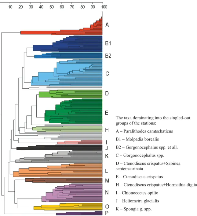 Figure 4.2.11. Dendrogram of the station similarity by the invertebrates by-catches composition given as 15 (A- (A-P) faunistic assemblages