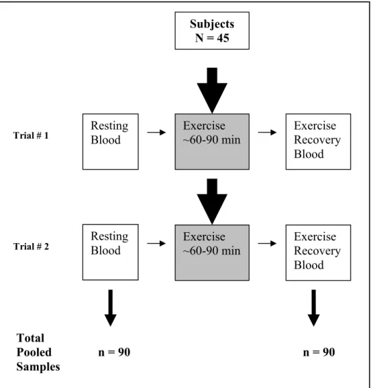 Figure 1. The figure is a schematic representation of the blood sampling protocol used in the  study