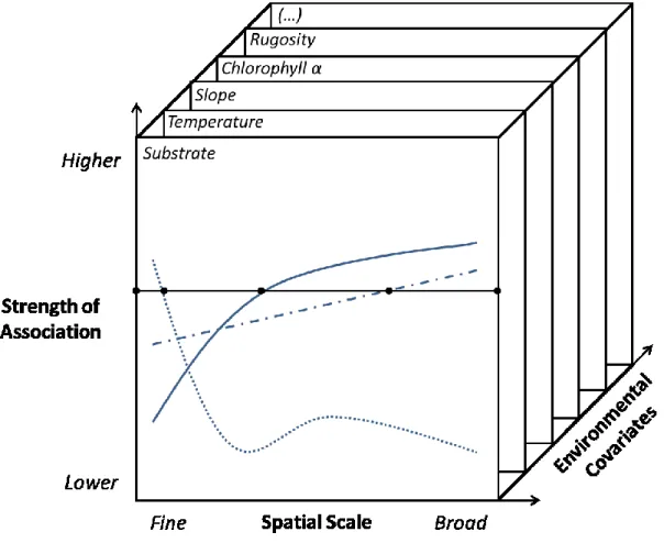 Figure  2.4:  Conceptual  representation  of  the  implementation  of  a  continuum-based  multiscale  approach  to  explore  scale-dependency  of  species-environment  relationships