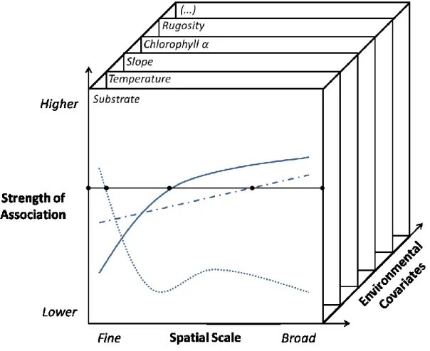 Figure  2.4:  Conceptual  representation  of  the  implementation  of  a  continuum-based  multiscale  approach  to  explore  scale-dependency  of  species-environment  relationships