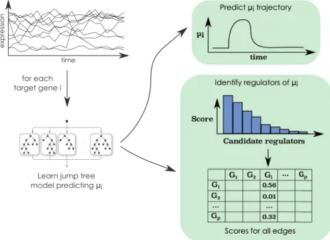 Fig. 2. The Jump3 framework. For each target gene i ¼ 1; . . . ; p, a function f i in the form of an ensemble of jump trees is learned from the time series of expression data