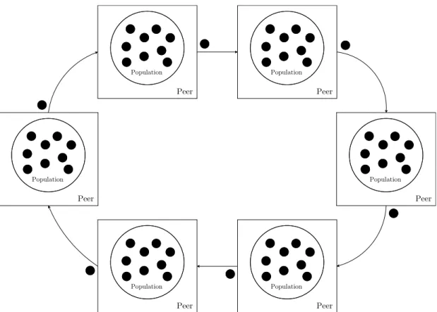 Figure 2.4: The PGA island model.