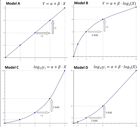 Fig. 1 Relationship between X and Y changes in a linear model with logarithmic transformations