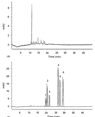 Figure 2Typical electropherograms of: (A) blank human urine extract; (B) extract from blank human urine spiked with: 1, racemicDetection, UV absorbance at 200 nm