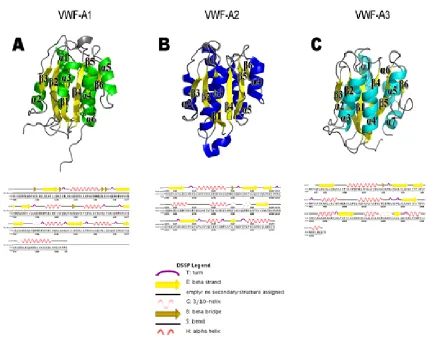 Figure 1.8.  Crystal structures of the VWF A domains. Panels VWF-A2, VWF-A2, and VWF-A3, respectively