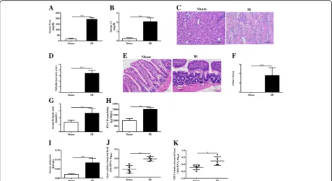 Fig. 1 The intestinal consequences of renal IR induced AKI. Renal function was evaluated by serum urea (two-tailed unpaired t test was used (in log as quantified by qPCR of 16S primer targets normalized toLAL method (evaluated by serum D-lactic (a) and cre