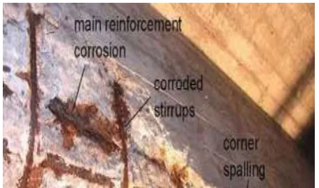 Figure No. 5 Longitudinal cracks at corners of crosshead associated with corrosion of steel reinforcement   