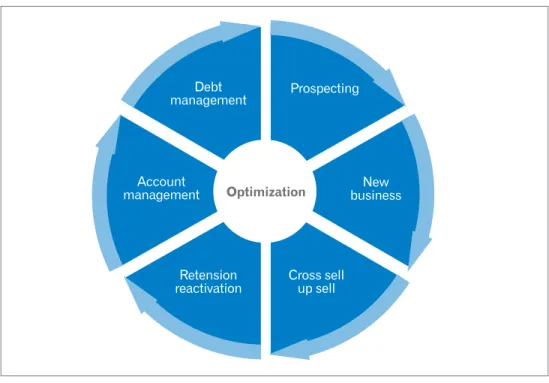 Figure 11: The Experian Optimization solutions comprise two key components, expert  consulting and advanced software.