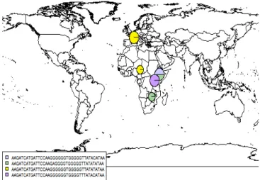 Fig. 17. Distribution for Gene ID CspR6.16520.