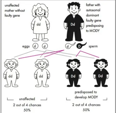 Table  57.2.    Approximate  risks  for  developing  type  2  diabetes  (European data) 