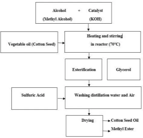 Figure 2. Esterification procedure  