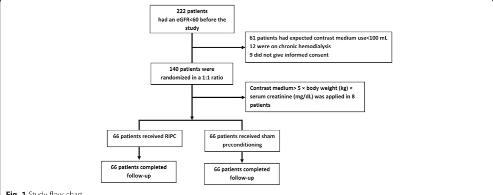 Fig. 1 Study flow chart