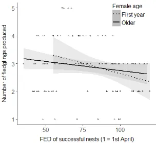 Figure 4.8. Model-averaged, predicted relationship between the number of fledglings produced by successful nests and the timing of nesting attempts (first egg date; FED) for first year and older females, 2014-17 (n = 110)