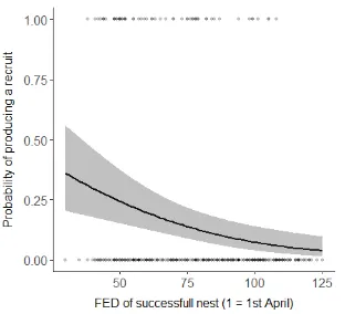 Figure 4.9. Predicted relationship between the probability of successful nests producing a recruit and the timing of nesting attempts (first egg date; FED), 2012-17 (n = 649)