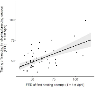 Figure 4.13. Model-averaged, predicted relationship between the start timing of breeding between breeding seasons (first egg date; FED of first nesting attempt), 2014-17 (n = 53)