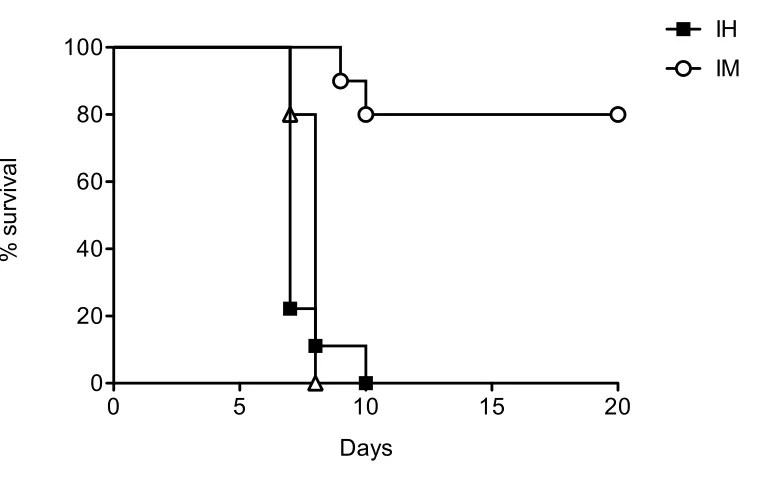 FIGURE 2.9. Protective immunity in hydrodynamically injected mice. Thirty days after immunization, groups of naïve, hydrodynamically injected and intramuscularly immunized mice were challenged with lethal dose of LCMV by i.c